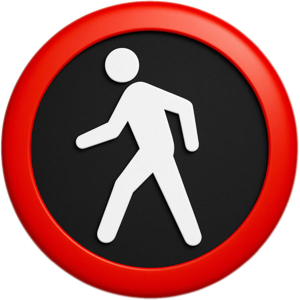 Diaries of a Pedestrian